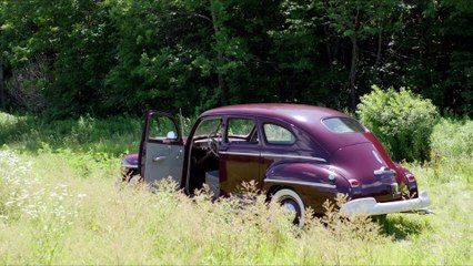 Alice Fades Away movie (2021) - Ashley Shelton, William Sadler, Blanche Baker