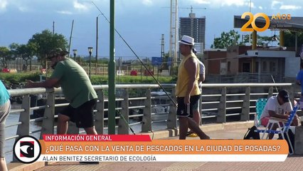 ¿Qué pasa con la venta de pescados en la ciudad de Posadas?