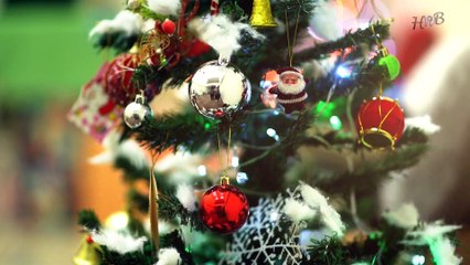 Hum Paigham | Marium Ashraf & Hanooq Ashraf | New Christmas Song | HWB Music