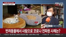 [출근길 인터뷰] 코로나19 걸린 반려동물 증상과 대처법