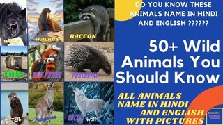 50 + WILD ANIMALS NAME IN HINDI AND ENGLISH_ LEARN ANIMALS NAME AT HOME