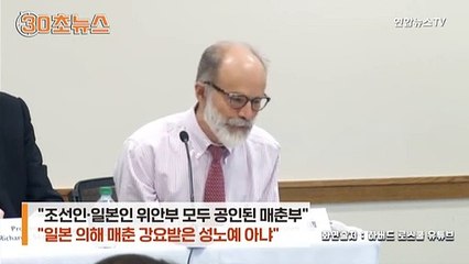 [30초뉴스] "위안부는 매춘부"…하버드 교수가 왜 그랬을까 보니