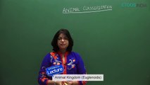 Animal Kingdom Class 11 - NEET Zoology - Dr. Akanksha Agarwal (AA Mam)