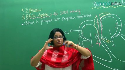 Body fluids and its Circulation - NEET Video Lectures - Dr Akanksha Aggarwal (AA) Mam - YouTube