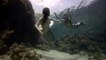 Duo Does Free-Diving Underwater Wearing Mermaid Costumes