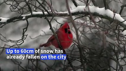 New Yorkers brave the weather as city blanketed by snow