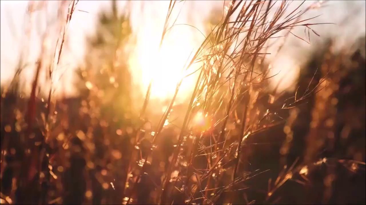 Botschaft an Empathen und alte Seelen. Martin Gallist | Intuitiver Empath