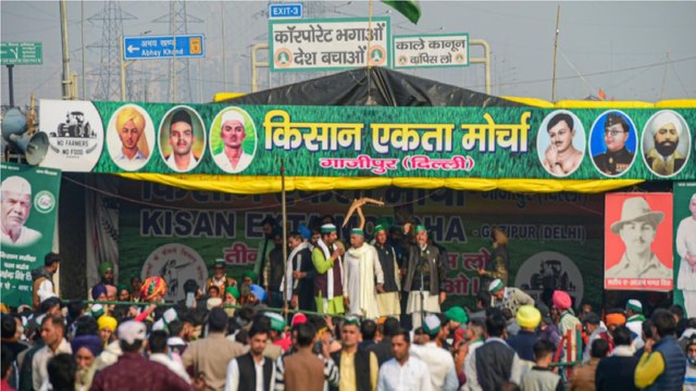 Here's what farmers are planning for Feb 6