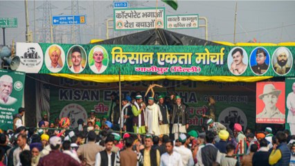 Here's what farmers are planning for Feb 6