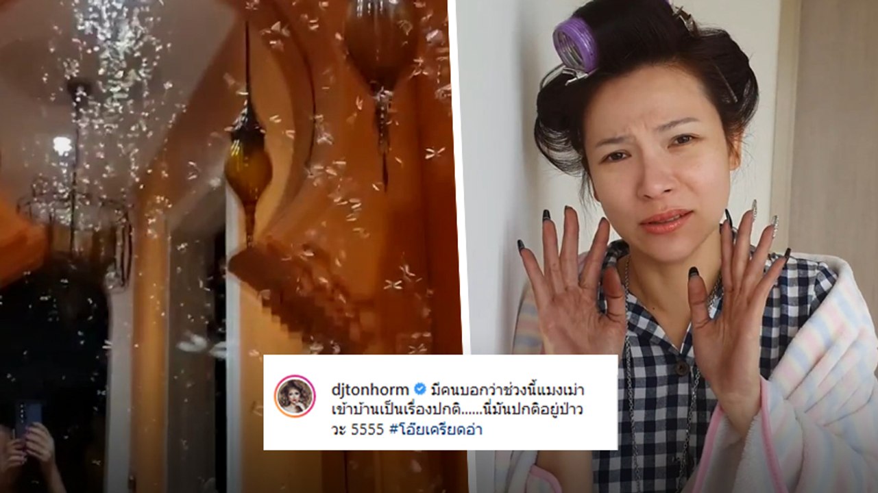 ดีเจต้นหอม กองทัพแมลงเม่าบุกบ้าน เครียดหนักนี่บ้านคนหรือบ้านแมลง