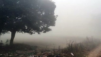 सीतापुर में शीत लहर से बढ़ी ठिठुरन, लोग घरों में कैद