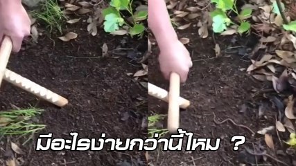 ได้ผลจริงดิ !? ฮาว ทู.. เรียกไส้เดือน ที่สุดแสนจะง่าย ถูทีเดียว มาให้จับทั้งรัง