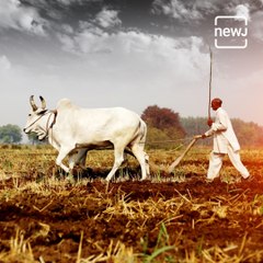 Big Announcement Towards Doubling Farmers Income In Budget 2021