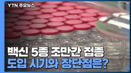 백신 5종 조만간 접종...도입 시기와 장단점은? / YTN