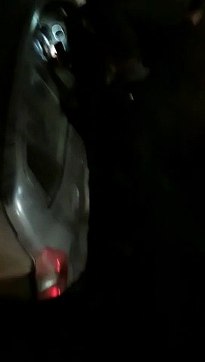 अनियंत्रित स्पीड और कोहरे के चलते नहर में घुसी कार
