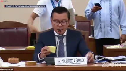House committee OKs economic charter change resolution