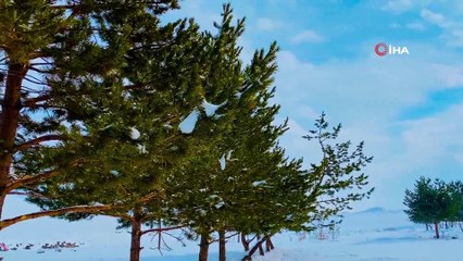 Kış mevsimi Ağrı’yı kartpostala çevirdi