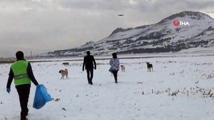 - Köpeklerin drone imtihanı