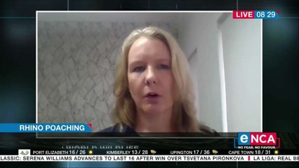 World Wildlife welcomes happy with decline in Rhino poaching