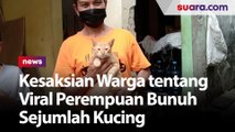 Viral Perempuan Paruh Baya Coba Bunuh Sejumlah Kucing, Ini Kesaksian Warga