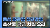 '전국 최대' 충북 음성 축산물 공판장서 집단감염...방역 비상 / YTN