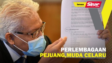 Perlembagaan Pejuang, Muda celaru