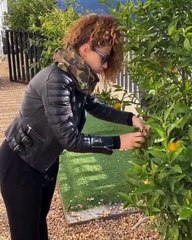 فيديو عفوي لميريام فارس مع ابنها يحصد أعجاب الملايين في زمن قياسي