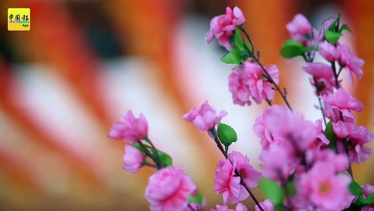 天后宫不一样的灯会