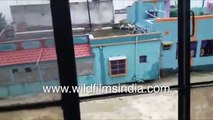 Building falls into flood water in dramatic movement caught on camera _ Floods in India