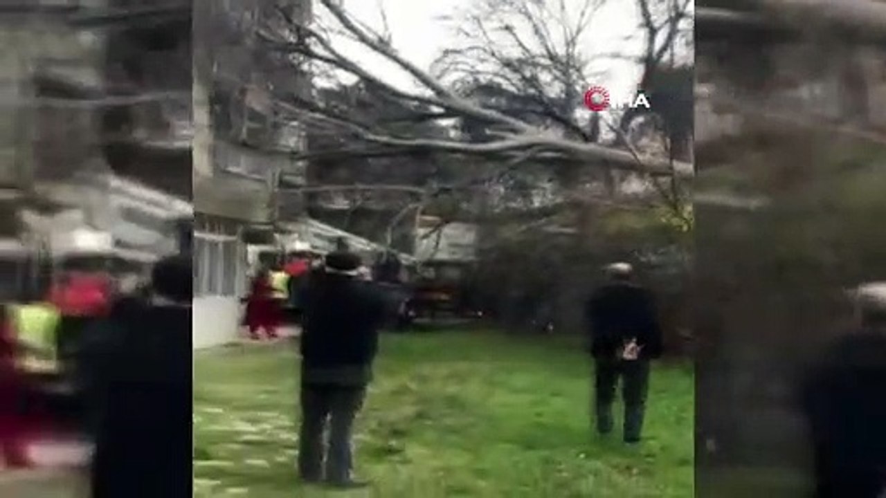 Bursa’da lodostan devrilen ağaç otomobilin camına ok gibi saplandı