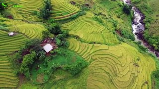 Amazing Rice Terraces in Y Ty