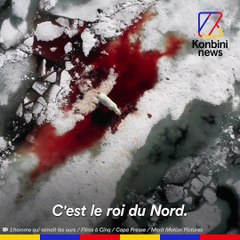 Je suis guide spécialiste des ours polaires | GOOD JOB