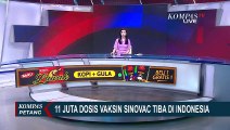 11 Juta Dosis Vaksin Sinovac Tiba Di Indonesia, 10 Juta Diantaranya Adalah Bahan Baku Vaksin