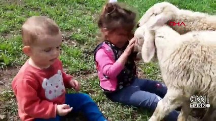 Sağlam parmağa ameliyat yaptılar