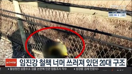 임진강 철책 너머 쓰러져 있던 20대 구조…대공용의점 없어