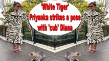 'White tiger' Priyanka Chopra Jonas poses with 'cub' Diana