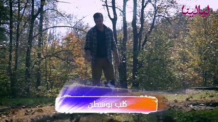 توب تن -10 كلاب