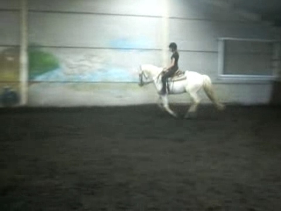 Photo 084