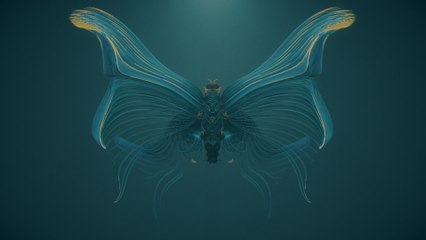 Ludovico Einaudi - Fly