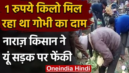 Farmer ने Road पर फेंकी Cabbage, 1 रुपये Kg बिक रही थी, लूटने ने की मची होड़ | वनइंडिया हिंदी