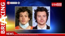 Harry Styles lookalike accused of assaulting woman during robbery