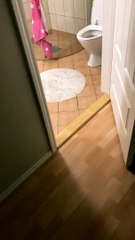 Kitty Chases Toy Mouse in Washing Machine