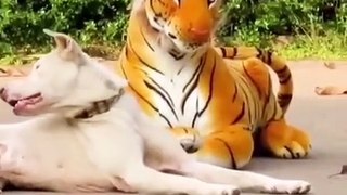 Fake Tiger prank on Dogs (Best parts)