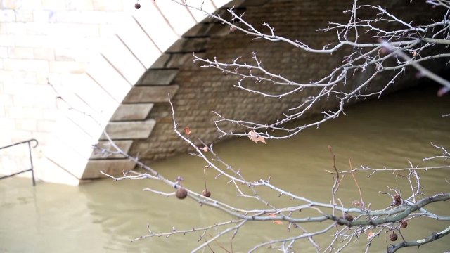 المياه تغمر ضفتي نهر السين في باريس جراء الأمطار الغزيرة