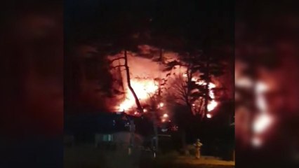 경기 양주시 야산에서 불...다친 사람 없어 / YTN