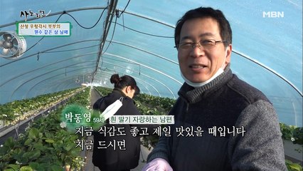 귀농 17년 베테랑! 빨간 딸기 대신 흰 딸기를 딴다?