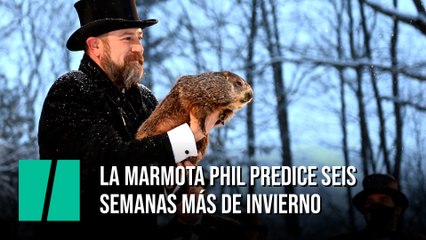 La marmota Phil predice seis  semanas más de invierno