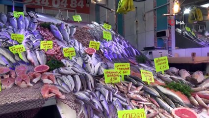 Karadeniz’de Hamsi Avı Yasağı Halkı İstavrit ve Sardalya’ya Yöneltti