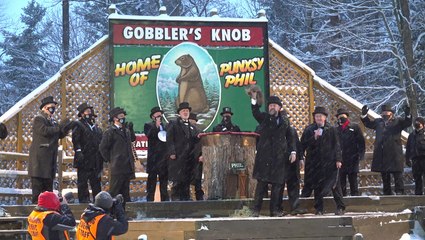 Punxsutawney Phil makes his prognostication