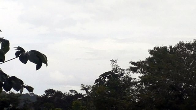 Embraer 195 PR-AXJ na aproximação final antes de pousar em Manaus vindo de Santarém